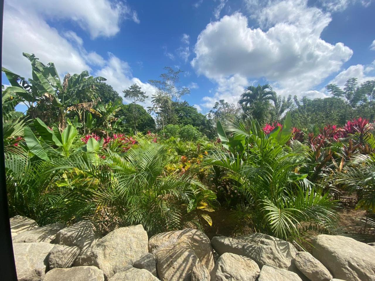 Villa Tanager La Fortuna Esterno foto